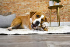 Nylabone Gourmet Style Wishbone Strong Chew Toy - Image 11