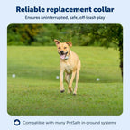 PetSafe Classic In-Ground Fence Rechargeable Receiver Collar for Dogs and Cats - Image 3