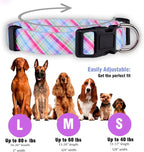 Native Pup Easter Dog Collar, Cute Spring Gift - Image 3