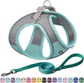 AIITLE Comfortable Dog Harness and Leash Set by AIITLE-FORPETSBETTERLIFE