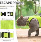 PUPTECK Soft Mesh Cat Vest Harness and Leash Set Puppy Padded Pet Harnesses - Image 3