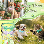 Hsei 6 Pcs Spring Cat Collars Bulk - Image 2