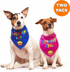 Dog Birthday Bandana - Image 3