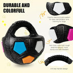 Dog Toy Ball with Handle, Toss and Fetch Play, Interactive Ball - Image 3