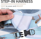 PUPTECK Adjustable Dog Harness Collar and Leash Set Step in No Pull Pet Harness - Image 3