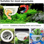 Aquarium Betta Fish Feeding Station, Floating Ring - Image 6