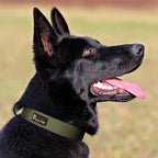 Plutus Pet Tactical Dog Collar, Reflective, Adjustable Heavy Duty Dog Collar - Image 6