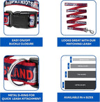 NFL PET Collar New England Patriots Dog Collar, Medium Football Team Collar - Image 6
