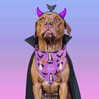 Halloween Dog Bandanas - Image 4