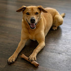 Petstages Outward Hound Super Dogwood Durable Dog Chew Toy, Small - Image 9