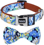 Faleela Cute Soft Girl Dog Collar by Faleela