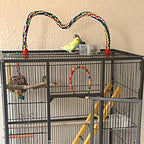 Bird Rope Perches for Parrots, Cockatiels, Budgie Cages Comfy Birds Colorful - Image 3