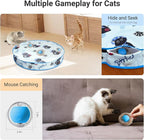 Interactive Cat Toys for Indoor Cats 2025 New Speedy Ball - Image 3