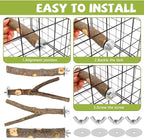 5PCS Natural Wood Bird Perch Set - Image 5