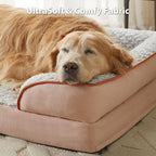 Orthopedic Dog Bed for Large Dogs, Egg Crate Foam Bed for Large Dogs, Equipped - Image 3