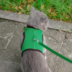 PUPTECK Soft Mesh Cat Vest Harness and Leash Set Puppy Padded Pet Harnesses - Image 6