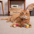Instincts by SmartyKat 2-Pack HappyNip Love Mates Feather Birds Plush Cat Toys - Image 3