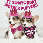 Dog Birthday Decorations - Image 2