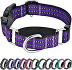 Hikiko Martingale Collar for Dogs Reflective Nylon Dog Collar by Hikiko