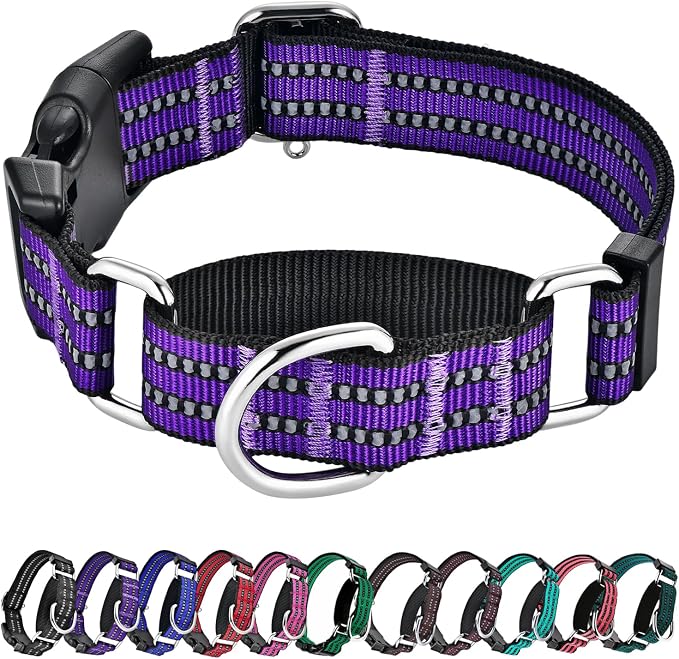 Hikiko Martingale Collar for Dogs Reflective Nylon Dog Collar by Hikiko