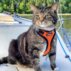 Voyager Escape-Proof Step-in Lock Cat Harness & 5ft Neoprene-Handle Leash Set - Image 6