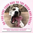 Bullibone Nylon Dog Chew Toy for Aggressive Chewers - Image 5