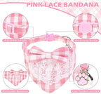 EXPAWLORER Cute Cat Collar Breakaway - Image 4