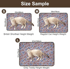 Dono 1 Pack 3 Dog Blankets, Soft Fluffy Fleece Pet Blanket Warm Sleep Mat Paw - Image 2