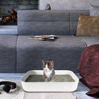 Small Litter Box, Plastic Kitten Litter Box, 13.9 x 9.8 x 3 Inch Open Litter Box - Image 7