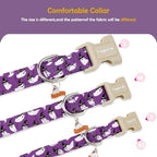 Faygarsle Halloween Dog Collar - Image 5