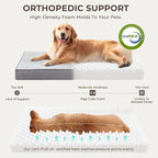 2-Pack Waterproof Dog Bed Large Size Dogs, Plush Cushion & Orthopedic Egg-Crate - Image 3