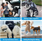 Dog Backpack Carrier for Medium Dogs Emergency Backpack, Joint Injuries - Image 2