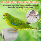 PINVNBY 4 PCS Bird Perch Stands Parrot Calcium Perch Beak Grinding Stone Foot - Image 4