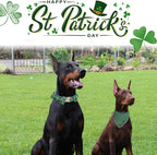 MR. CHUBBYFACE St.Patrick's Pink Green Clover Dog Collar - Image 4