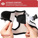 Downtown Pet Supply Step-in Dog Harness - Image 7