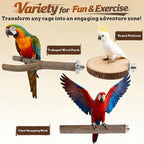 8 PCS Bird Perch Set, Natural Birch Wood Straight & Forked Perches - Image 5