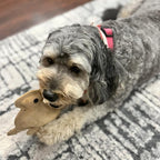 SPOT Dura-Fused Leather Rabbit Dog Toy – Durable Real Leather & Jute Chew Toy - Image 8