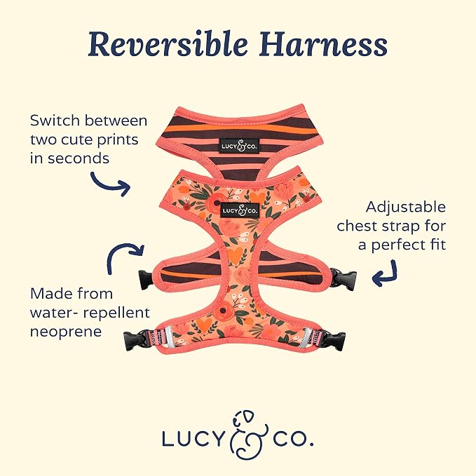 Lucy & Co. Reversible Dog Harness Walking Halter - Image 2