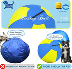 Herding Ball for Dogs and Horses - Image 6