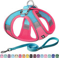 AIITLE Small Harness for Puppy by AIITLE-FORPETSBETTERLIFE