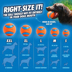Chuckit! Ultra Ball Dog Toy - Image 6