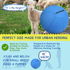 Herding Ball for Dogs and Horses - Image 2