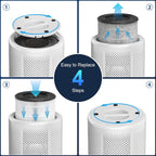 Tailulu 2 Pack D10 Replacement Filter, Air Purifier Filter - Image 4