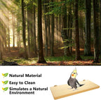 4 Pack 5 x 12 Inches Bird Perches - Image 4