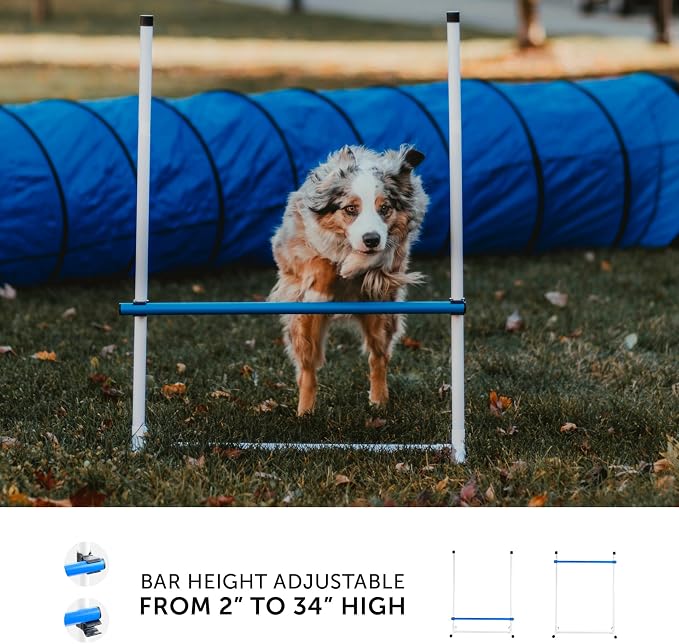 Better Sporting Dogs Complete Starter Agility Set - Image 3