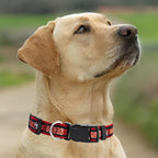 New & Improved Pets First NFL Licensed PET Collar- Heavy-Duty, and Durable New - Image 5