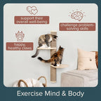 Cat Climbing Wall System – Modern Floating Shelves & Perches - Image 6
