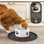 Silicone Pet Food Mat - Image 5