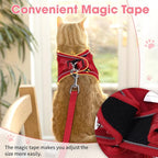 Cat Harness and Leash Set for Walking Escape Proof, Soft Adjustable Kitten - Image 5
