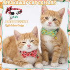 6 Pack Breakaway Cat Collars - Image 4
